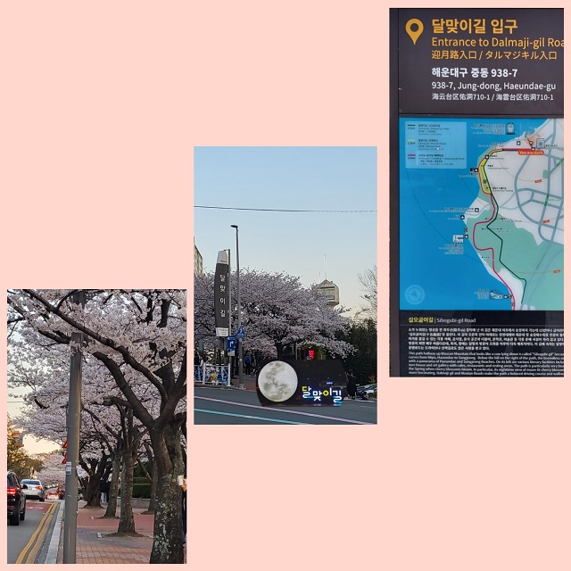 달맞이길 입구1